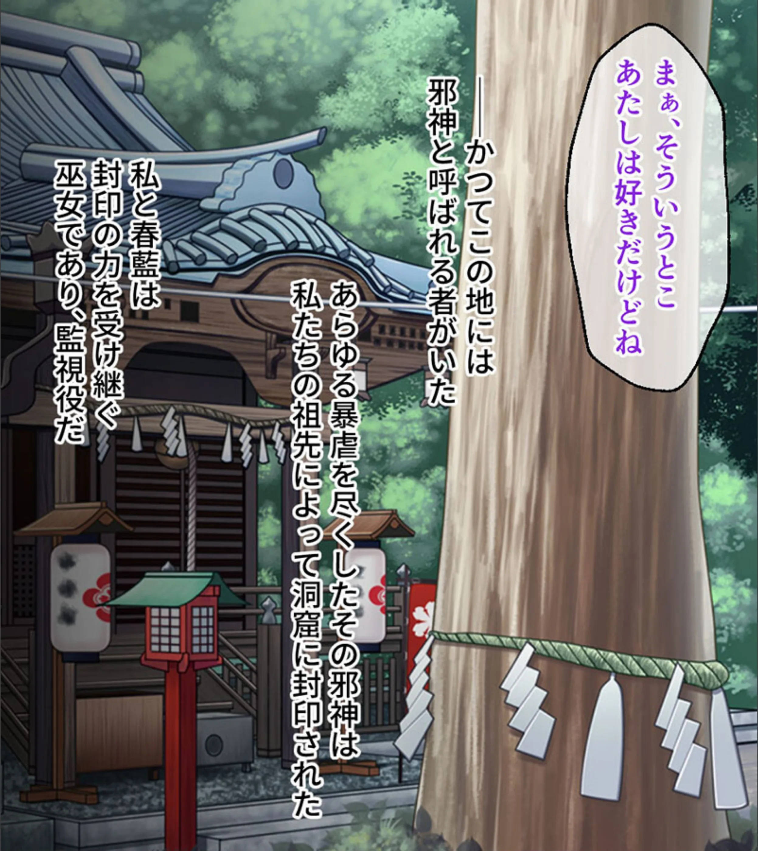 サンプル 6